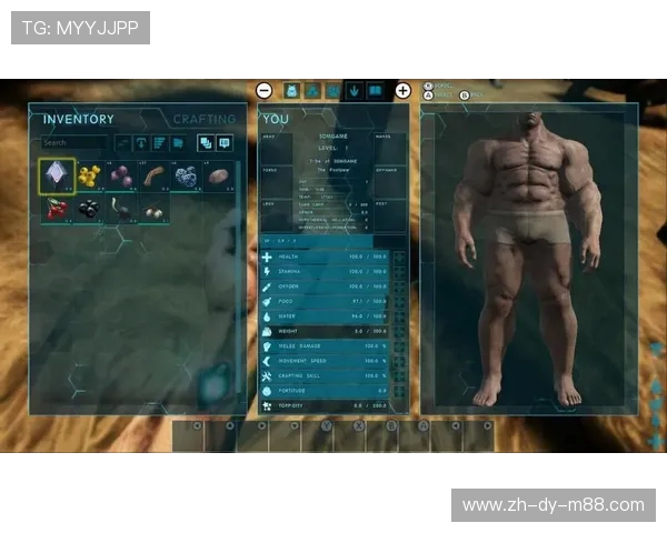 《NS美版与日版游戏联机体验差异解析》